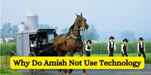 Why Do Amish Not Use Technology