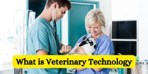 What is Veterinary Technology